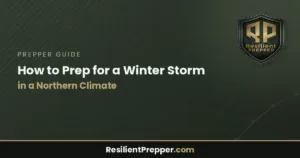 Read more about the article How to Prep for a Winter Storm in a Northern Climate