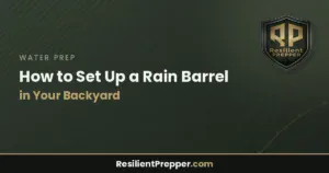 Read more about the article How to Set Up a Rain Barrel in Your Backyard