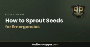 Read more about the article How to Sprout Seeds for Emergencies
