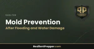 Read more about the article Mold Prevention After Flooding and Water Damage