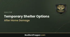 Read more about the article Temporary Shelter Options After Home Damage