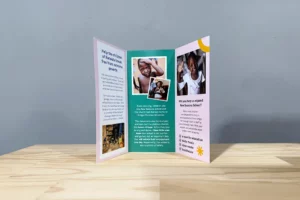 Bridge - Brochure - tri-fold -6pp -2 - Same Day Printing