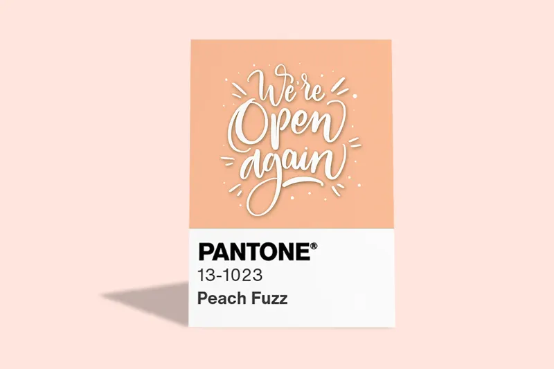 Pantone Colour of the year 2024 - Peach Fuzz Posters - Same Day Printing