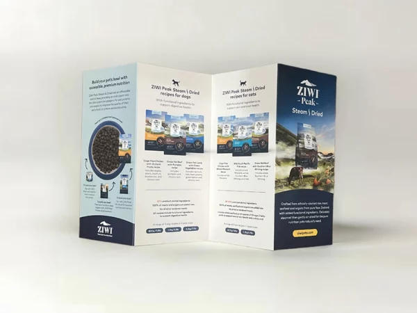 8pp DL brochure in Z fold