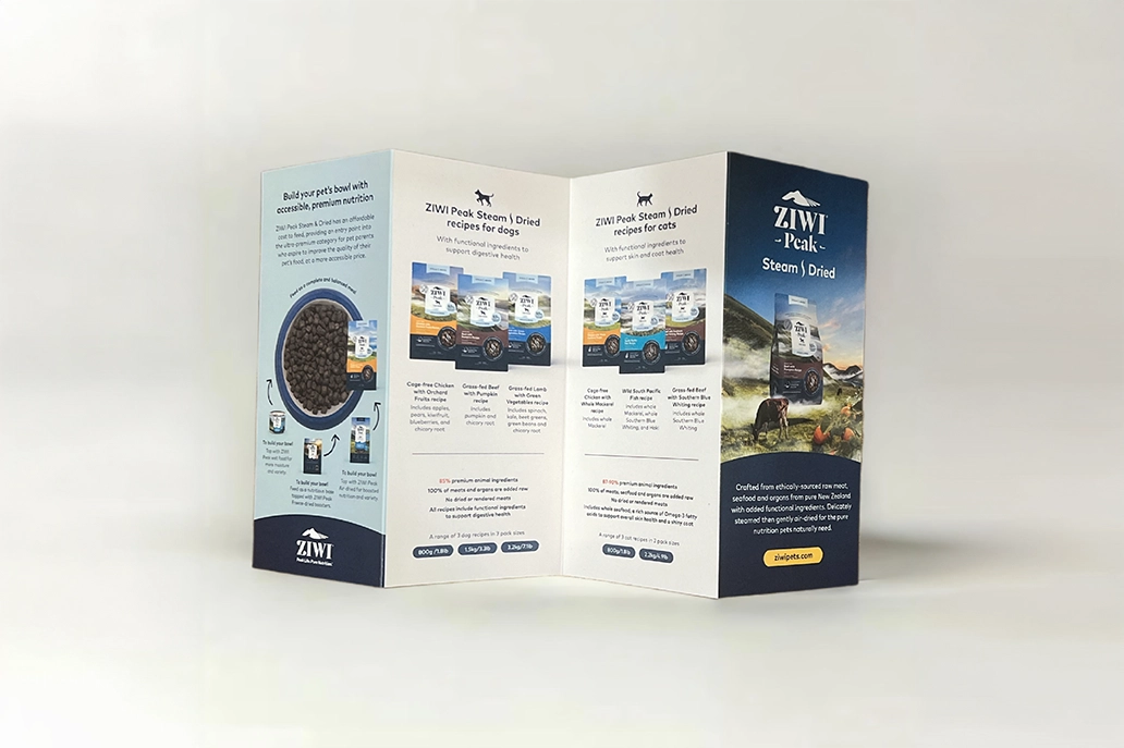 8pp DL brochure in Z fold