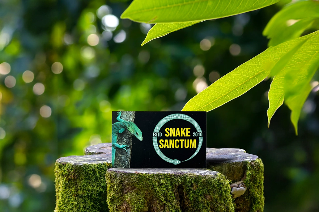 Business card in traditional size with soft touch velvet lamination