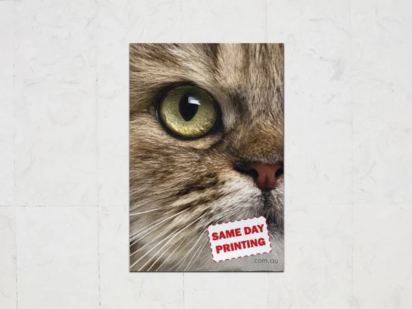 Tile floor sticker