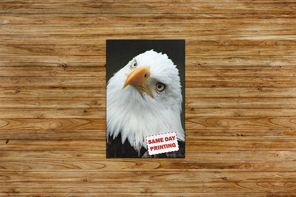 Wood floor sticker
