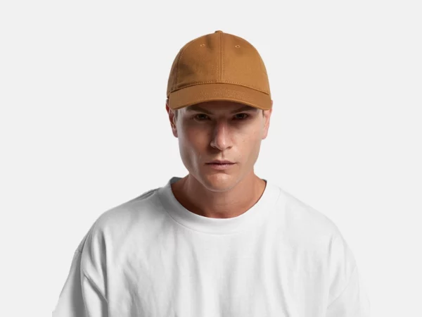 1131_ACCESS_CANVAS_CAP_TURN