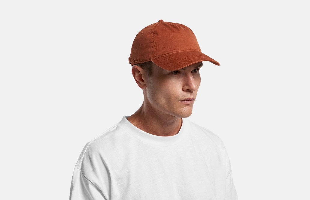 1132_ACCESS_FIVE_PANEL_CAP_MAIN