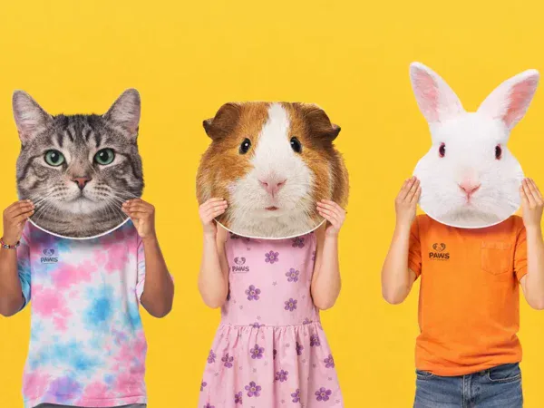 Big Head Cutouts -Animals - Same Day Printing