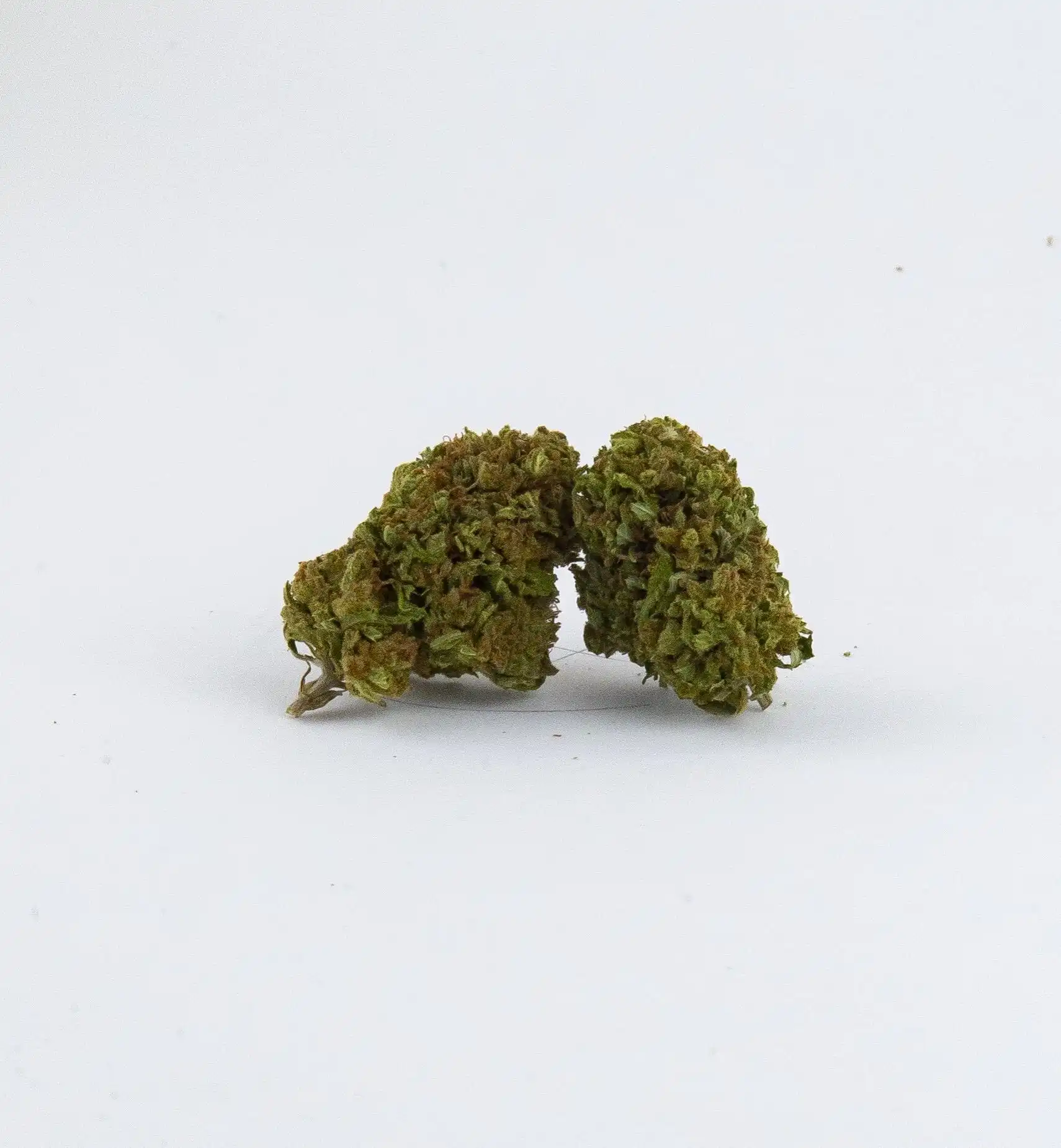 Critical Kush CBD legal weed