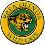 Circular logo with a yellow border, "Brea Olinda Wild Cats" text, and a wildcat head, capturing trusted local service spirit.