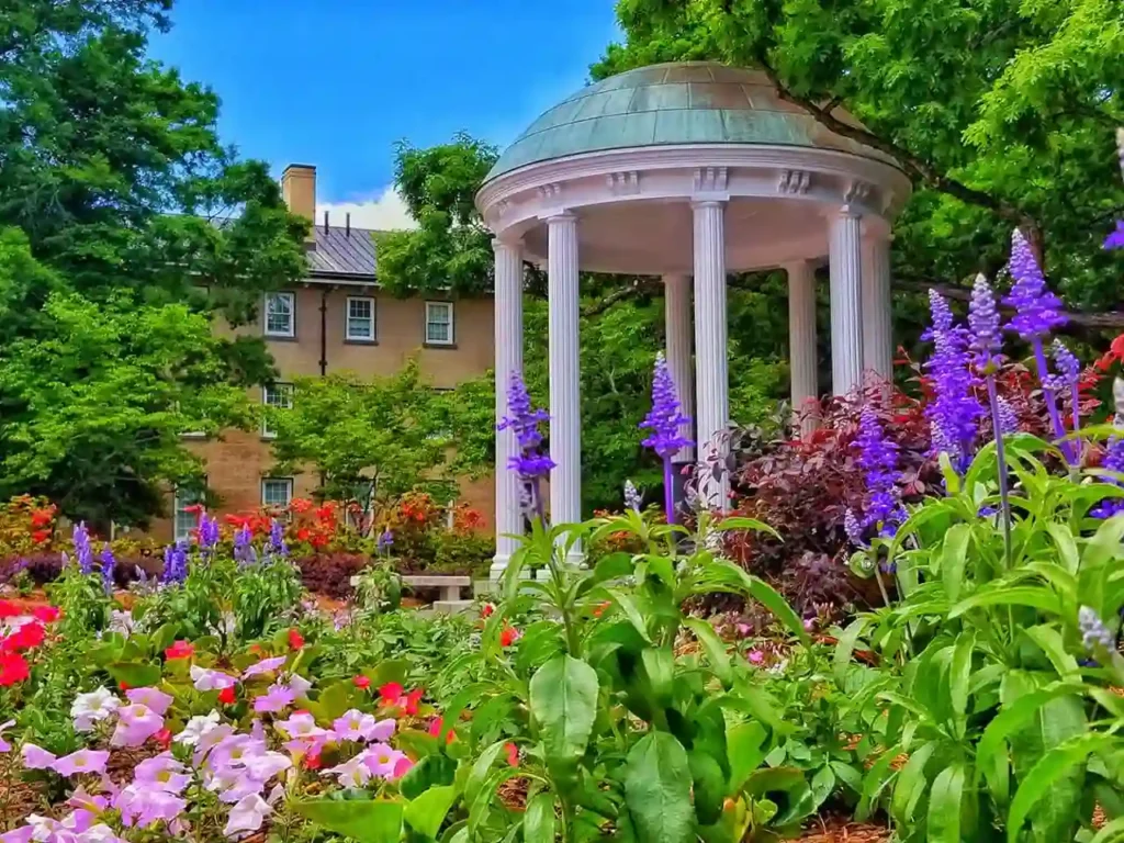 UNC Chapel Hill - beautiful landscaping in chapel hill