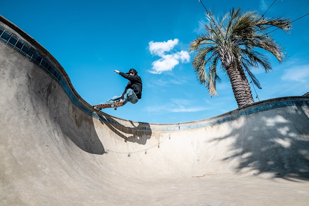 Un homme sur un skateboard dans un skate park avec un ciel bleu et un palmier.