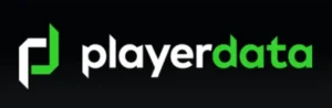 PlayerData