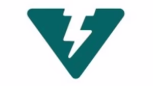 vidyut-logo