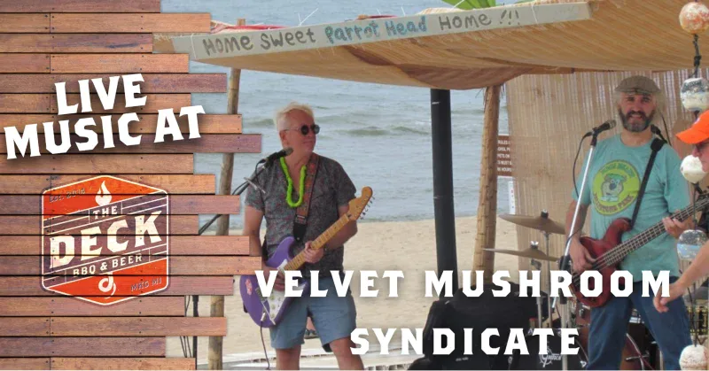 VELVET MUSHROOM SYNDICATE LIVE @ THE DECK