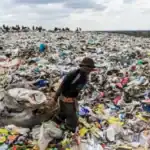 new route for international environmental crime