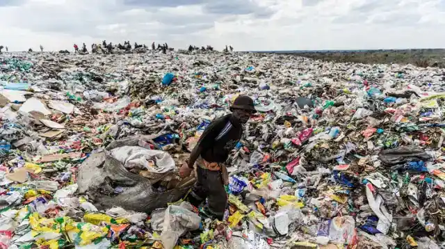 new route for international environmental crime