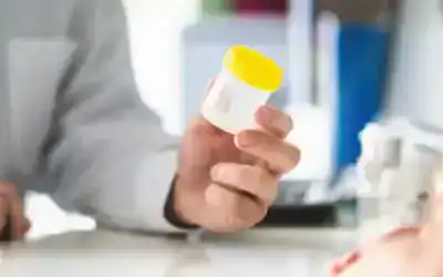 The Importance of the Medical Review Officer (MRO) in Drug Testing