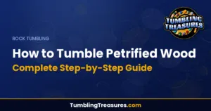 How to Tumble Petrified Wood: Complete Step-by-Step Guide