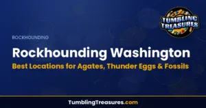 Rockhounding Washington: Best Locations for Agates, Thunder Eggs & Fossils