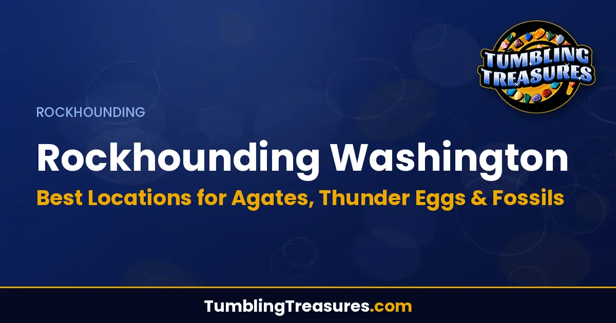 Read more about the article Rockhounding Washington: Best Locations for Agates, Thunder Eggs & Fossils
