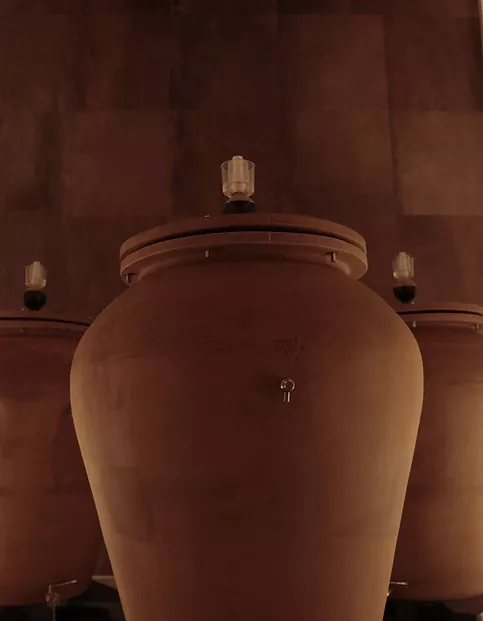 amphoras at château Grand Français