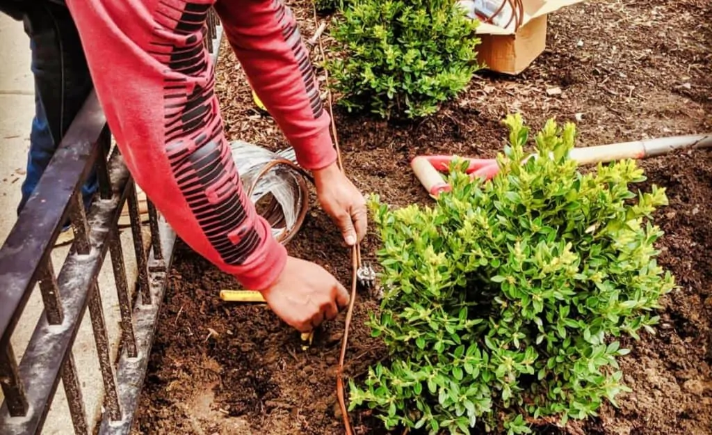 irrigation system installation