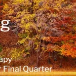 Autumn hero