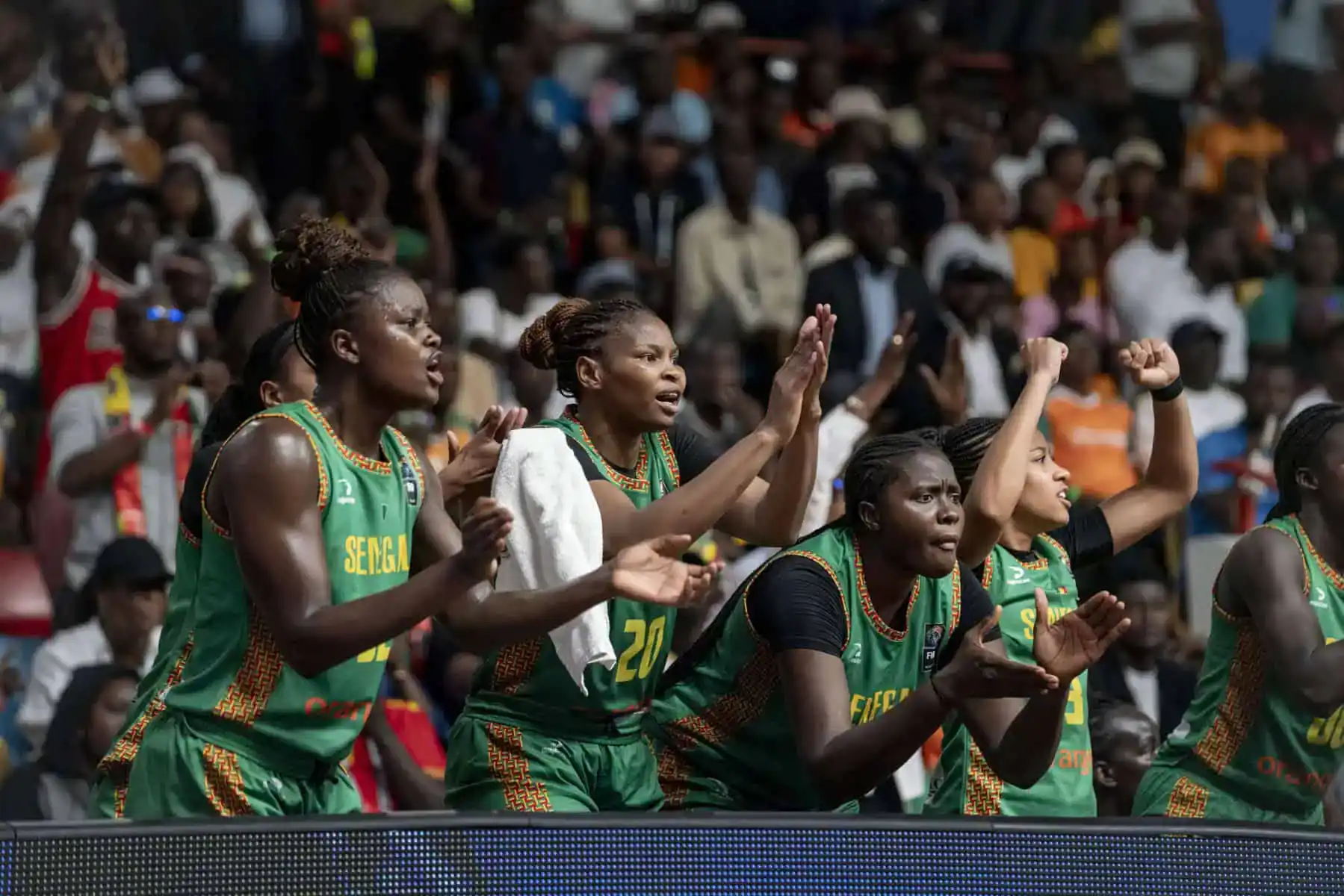 AfroBasket 2025 : Suivez en direct sur wiwsport.com la demi-finale Sénégal - Nigeria - wiwsport