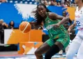 Coupe du Monde FIBA 2026 (F) : quelles chances pour le Sénégal de se qualifier ? - wiwsport