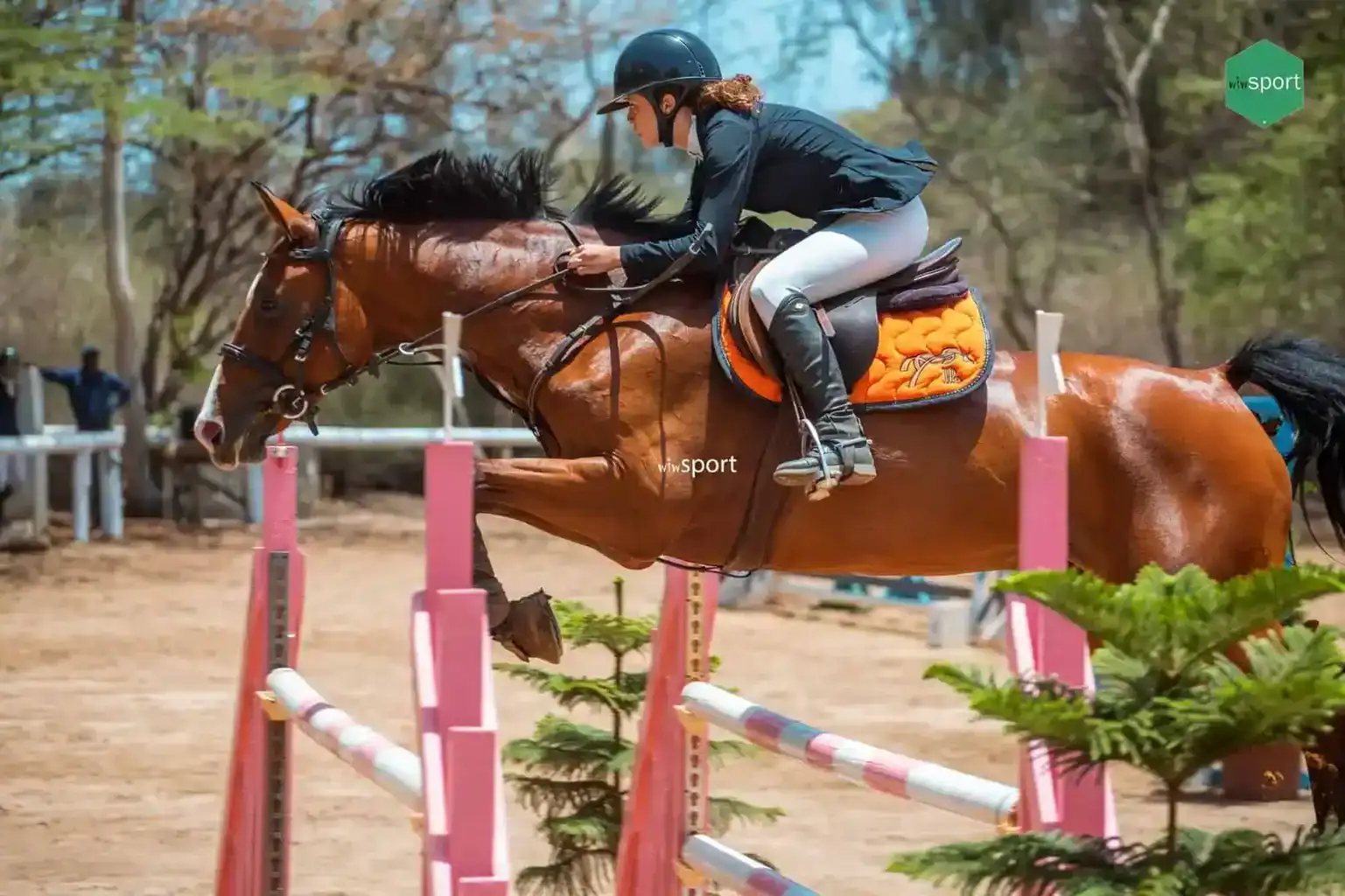 Équitation : Lou Jacobé, une victoire éclatante en Nationale Élite - wiwsport