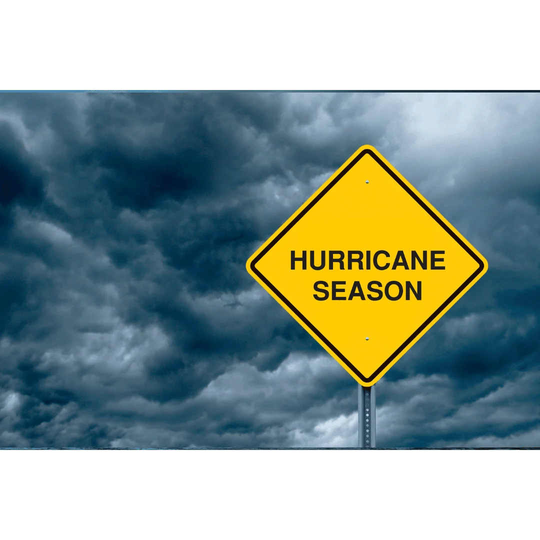 Natural Disasters Icon