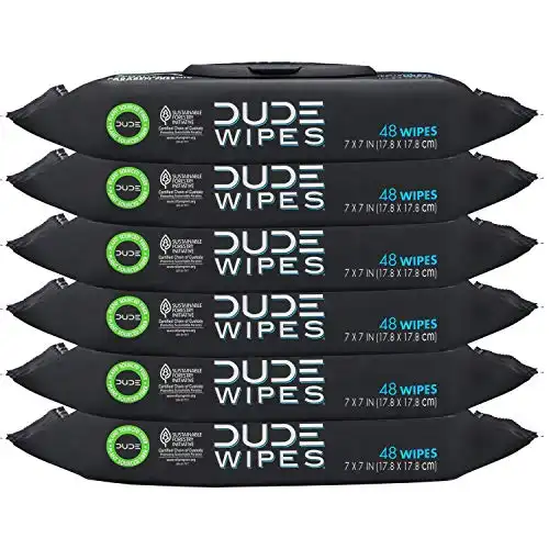 Unscented flushable DUDE Wipes Dispenser (6 Packs, 48 Wipes Each), with Vitamin-E & Aloe (Sewer Safe)