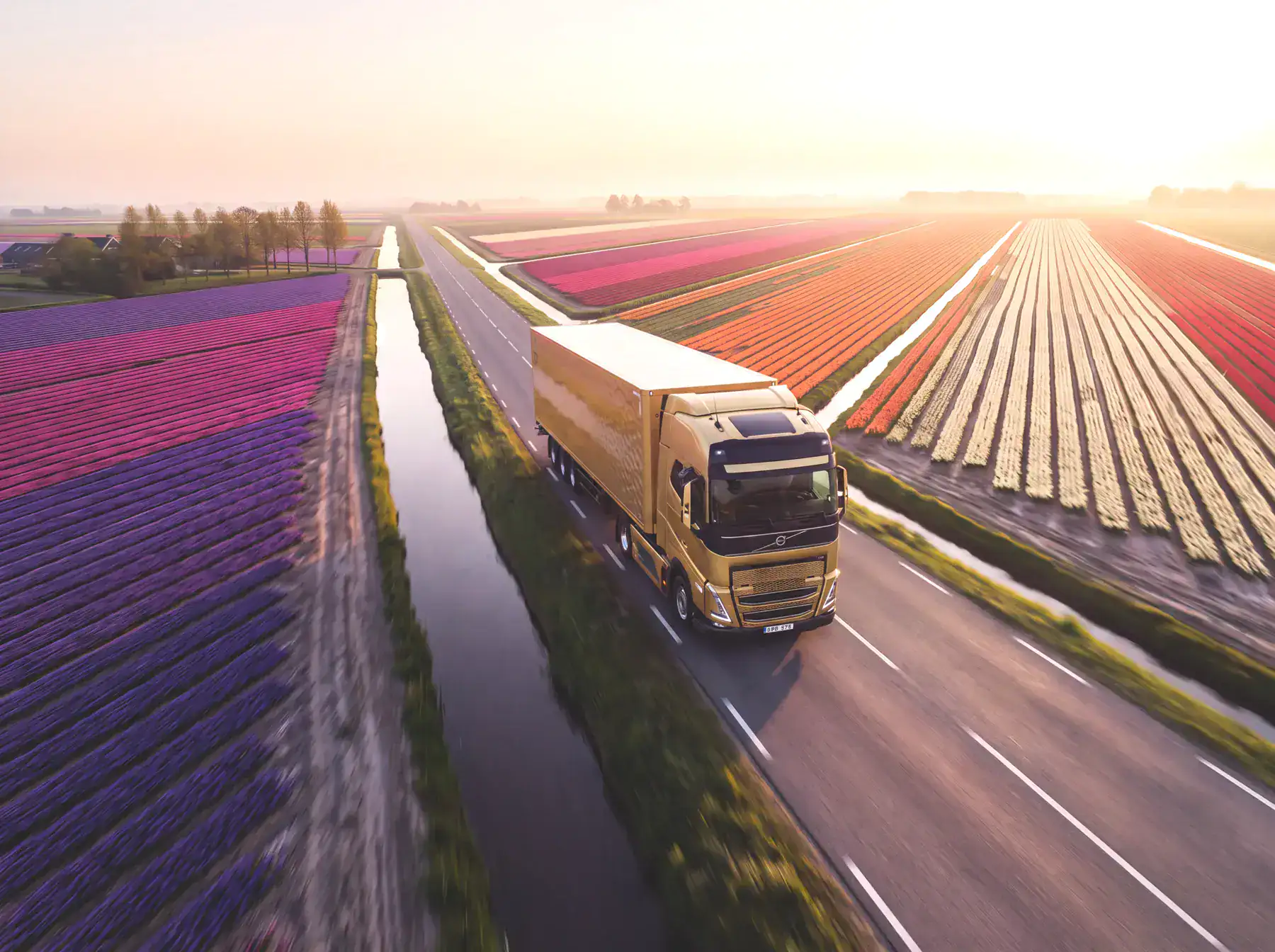 Vrachtwagen tussen de bollenvelden
