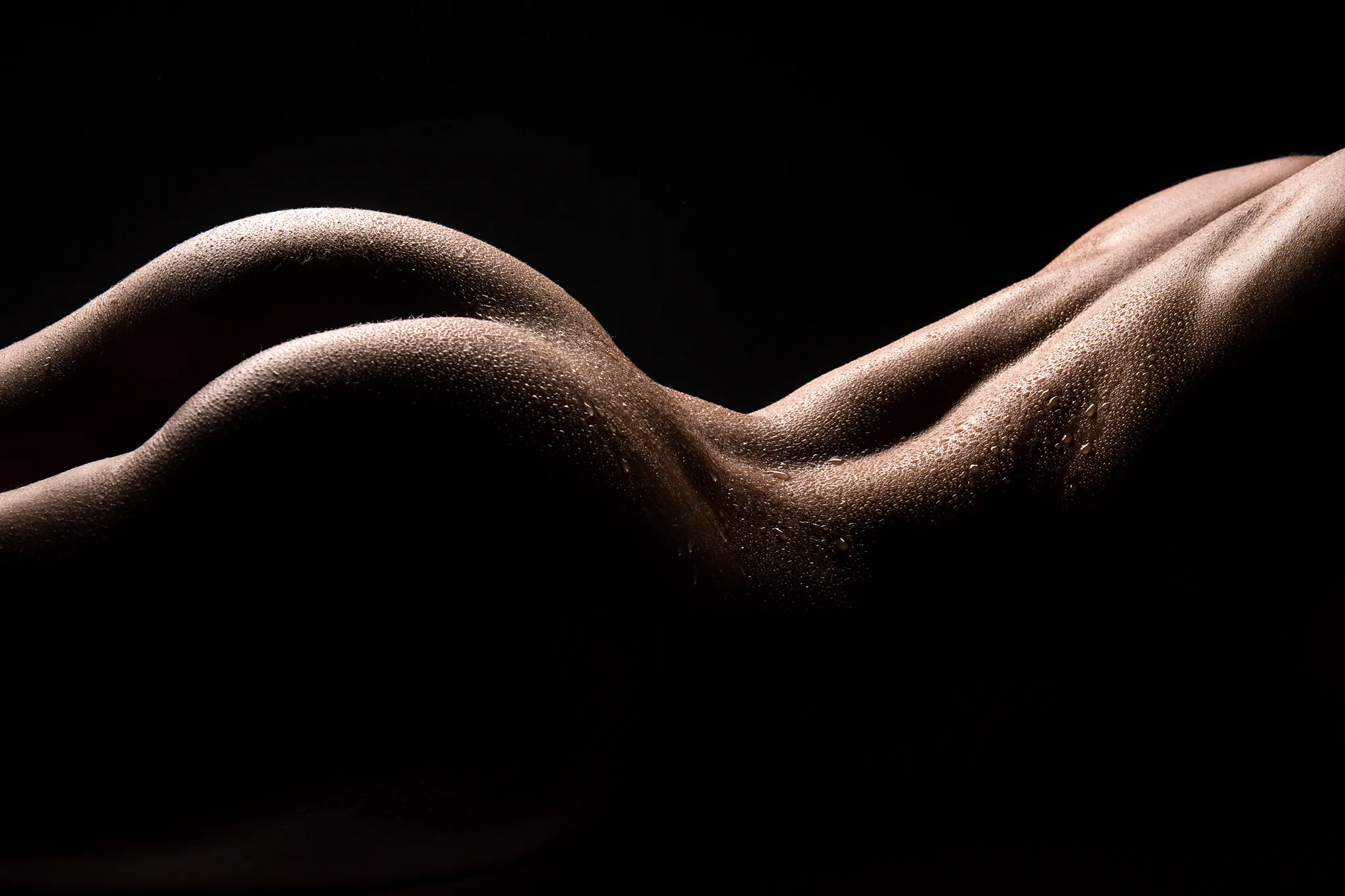 Artistic nude bodyscape of a woman’s derriére, beautifully lit to emphasise sculptural lines and shadow play