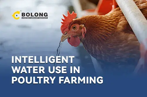 livestock and poultry manure fermentation tank​