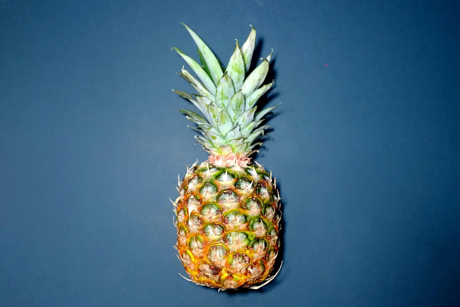 Clean 15: deze groente- en fruitsoorten zijn het minst bespoten