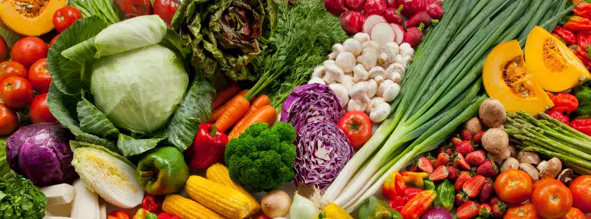 agroalimenatire horizontal