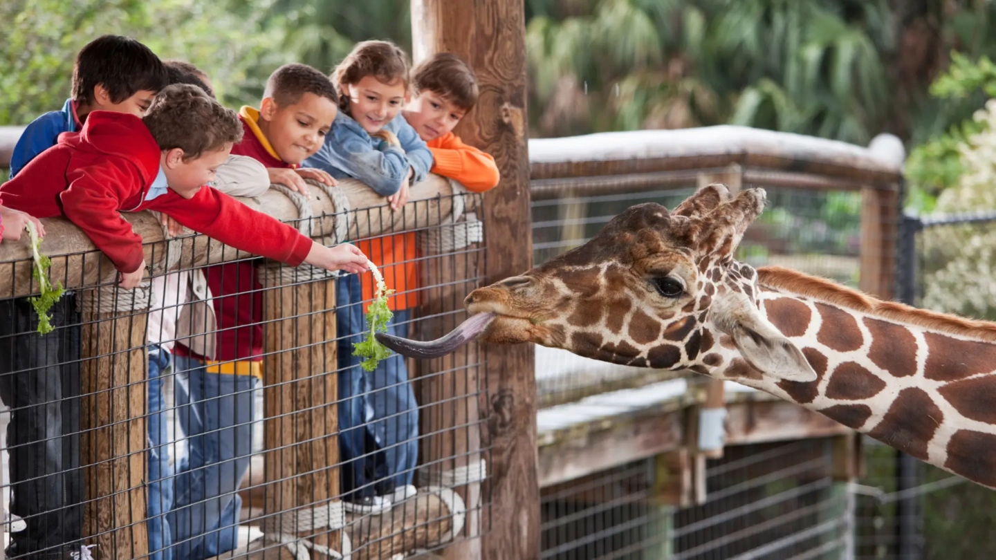 animalier - zoo