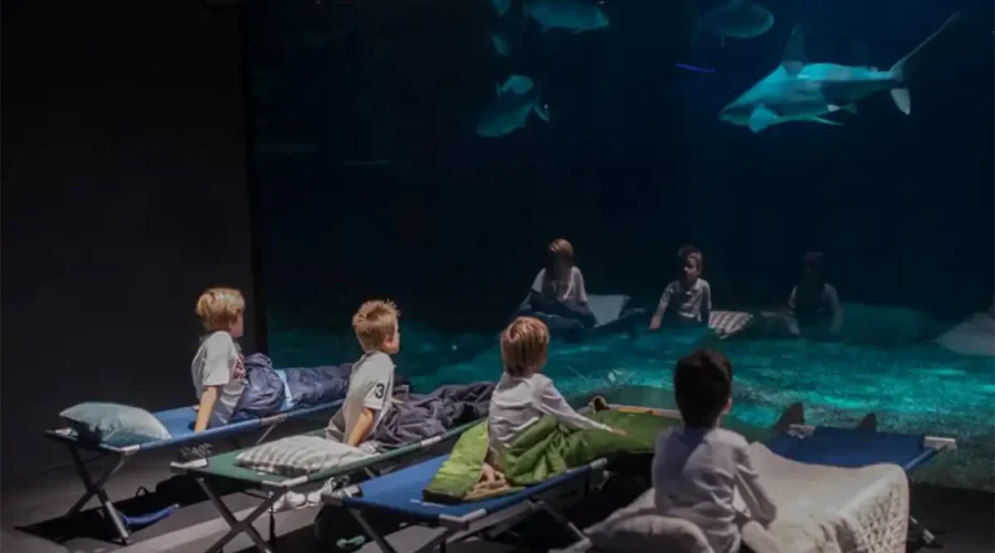 Notte con gli squali all’acquario di Genova