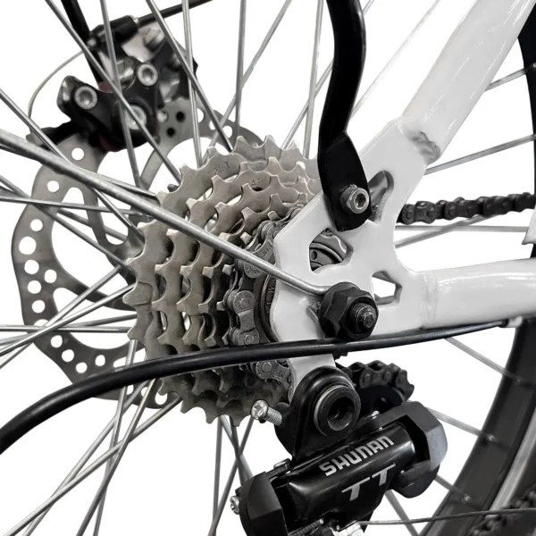 Ľadový bicykel - s LED osvetleným dáždnikom - 6-rýchlostné prevody Shimano - pre 7x 5-litrové nádoby na ľad - Image 9