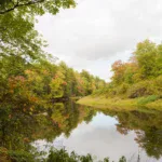 Athol - Miller’s Woods and River Bend - 14