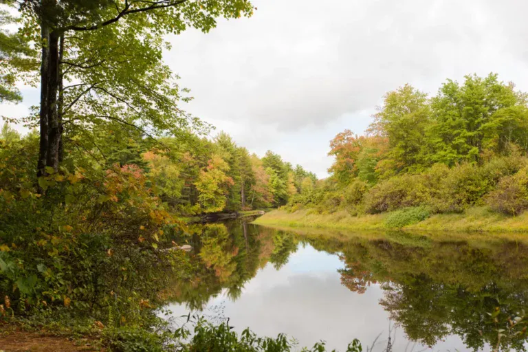 Athol - Miller’s Woods and River Bend - 14