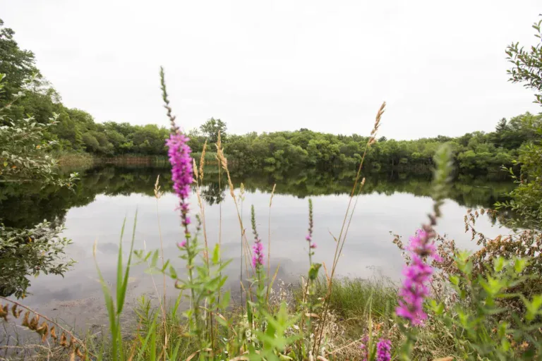 Attleboro - Oakhill - MA - 04