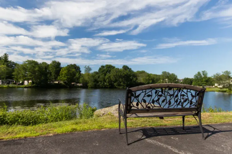 Epping - Pine & Pond - 06