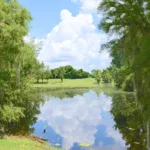 Leesburg - Lakes at Leesburg - 03