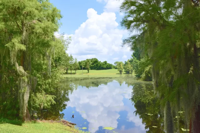 Leesburg - Lakes at Leesburg - 03